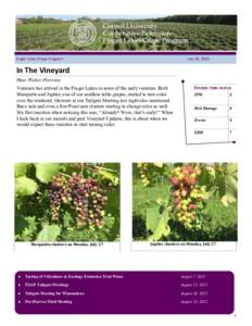 Finger Lakes Grape Program  July 29, 2015 In The Vineyard Hans Walter-Peterson