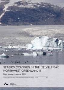 Seabird colonies in the Melville Bay, Northwest Greenland II