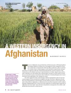 Terrorism / Counter-insurgency / Insurgency / War in Afghanistan / Taliban / Guerrilla warfare / Afghan civil war / International Security Assistance Force / Afghanistan / War / Military science / National security