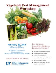 Vegetable Pest Management Workshop February 20, 2014 6:00 p.m. to 8:30 p.m. UF IFAS Clay County Extension