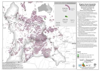 South West Queensland / Brigalow Belt / Acacia harpophylla / Environment Protection and Biodiversity Conservation Act / Maranoa River / Darling Downs / Cecil Plains /  Queensland / Wallumbilla /  Queensland / Geography of Australia / Geography of Queensland / States and territories of Australia