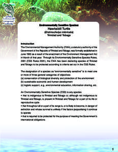 Environmentally Sensitive Species:  Hawksbill Turtle (Eretmochelys imbricata) Trinidad and Tobago Introduction