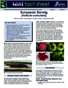 Published by Utah State University Extension and Utah Plant Pest Diagnostic Laboratory  European Earwig ENT
