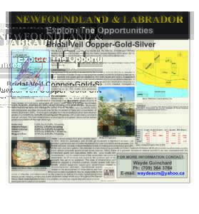 NEWFOUNDLAND & LABRADOR Explore The Opportunities Bridal Veil Copper-Gold-Silver ZO NE