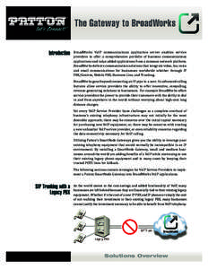 Introduction  BroadWorks VoIP communications application server enables service providers to offer a comprehensive portfolio of business communications applications and value added applications from a common network plat