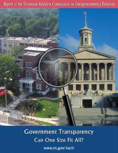 GovernmentTransparency:  Can One Size Fit All?