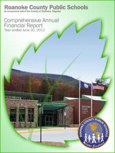 Financial statements / Roanoke metropolitan area / Roanoke /  Virginia / Comprehensive annual financial report / Public finance / Cash flow statement / Fund accounting / Accountancy / Finance / Business