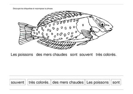 Découpe les étiquettes et recompose la phrase.  Les poissons des mers chaudes sont souvent très colorés. souvent