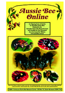 Aussie Bee Online An Ongoing Series of Articles on Australian Native Bees Produced by the Australian Native Bee Research Centre