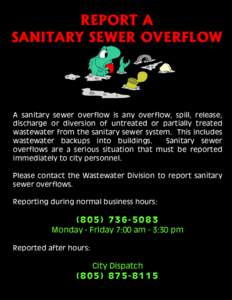REPORT A SANITARY SEWER OVERFLOW A sanitary sewer overflow is any overflow, spill, release, discharge or diversion of untreated or partially treated wastewater from the sanitary sewer system. This includes