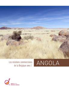 Les relations commerciales de la Belgique avec l’ angola  LES RELATIONS COMMERCIALES DE LA BELGIQUE AVEC L’ANGOLA