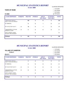 Municipal court year-end statistics by jurisdiction 2009