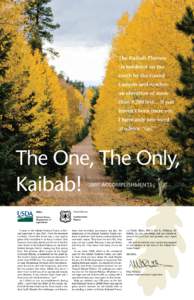 The Kaibab Plateau “is bordered on the south by the Grand Canyon and reaches an elevation of more than 9,200 feet… If you