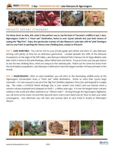 Lake Manyara / Lake Manyara National Park / Ngorongoro District / Ngorongoro Conservation Area / Arusha / Manyara Region / Tanzania / Lion / Safari / Africa / Arusha Region / Political geography