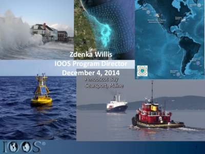 Zdenka Willis IOOS Program Director December 4, 2014 1