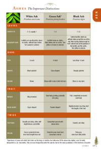 The Important Distinctions  White Ash Green Ash*