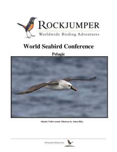 World Seabird Conference Pelagic Atlantic Yellow-nosed Albatross by Adam Riley  WSC Pelagic day trip Itinerary 2015