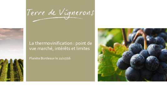 La thermovinification : point de vue marché, intérêts et limites Planète Bordeaux le L’attitude du consommateur français face aux achats de vin