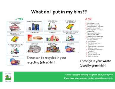 What do I put in my bins??  These can be recycled in your recycling (silver) bin!  These go in your waste