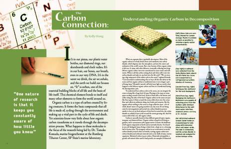 CConnection: arbon The Understanding Organic Carbon in Decomposition carbon.