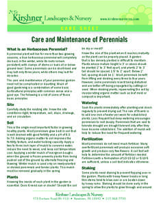 Care and Maintenance of Perennials What Is an Herbaceous Perennial? A perennial plant will live for more than two growing seasons; a true herbaceous perennial will completely die back in the winter, while its roots remai