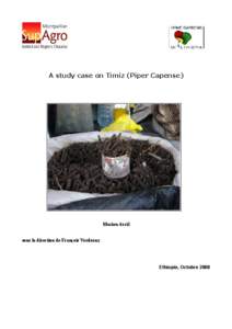 A study case on Timiz (Piper capense)