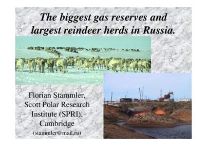 The biggest gas reserves and largest reindeer herds in Russia.
