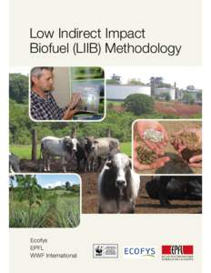 LIIB methodology - Version 0 - Julywo front cover]