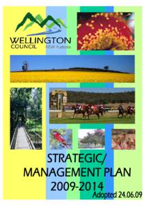 WELLINGTON COUNCIL[removed]DRAFT STRATEGIC/MANAGEMENT PLAN INTRODUCTION ...................................................................................................2 COMMUNITY PROFILE ..........................