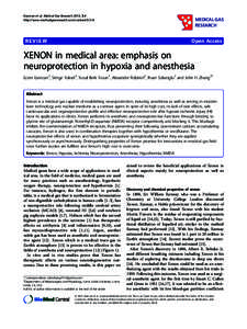 Exploring the potential of low doses carbon monoxide as therapy in pregnancy complications