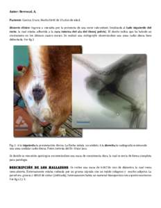 Autor:	
  Berrocal,	
  A.	
  	
   	
   Paciente:	
  Canino,	
  Cruce,	
  Macho	
  fértil	
  de	
  15	
  años	
  de	
  edad.	
     Historia	
   clínica:	
   Ingresa	
   a	
   consulta	
   por	
   