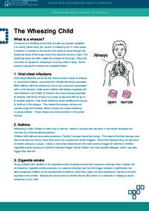 Chronic lower respiratory diseases / Respiratory therapy / Asthma / Wheeze / Cough / Ventolin / Allergy / Pathophysiology of asthma / Medicine / Pulmonology / Health