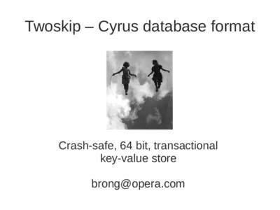 Twoskip – Cyrus database format  Crash-safe, 64 bit, transactional key-value store [removed]