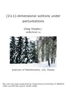(2+1)-dimensional solitons under perturbations Oleg Kiselev,∗ [removed]  Institute of Mathematics, Ufa, Russia