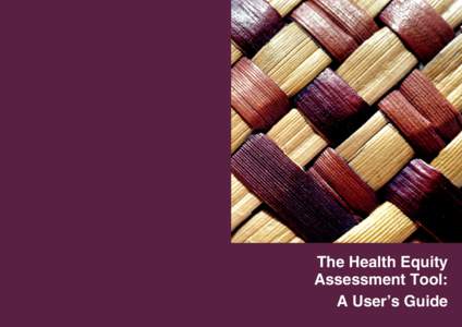 The Health Equity Assessment Tool: A User’s Guide The Health Equity Assessment Tool: