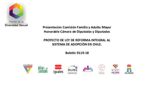 Presentación Comisión Familia y Adulto Mayor Honorable Cámara de Diputadas y Diputados PROYECTO DE LEY DE REFORMA INTEGRAL AL SISTEMA DE ADOPCIÓN EN CHILE. Boletín