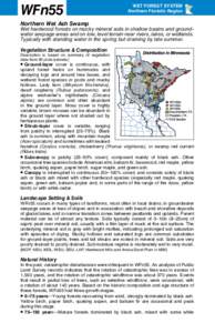 WFn55  WET FOREST SYSTEM Northern Floristic Region  Northern Wet Ash Swamp