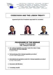 CODECISION AND THE LISBON TREATY organised by the Vice-Presidents responsible for conciliation Gianni Pittella  Rodi Kratsa Tsagaropoulou