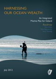 HARNESSING OUR OCEAN WEALTH An Integrated Marine Plan for Ireland  Roadmap