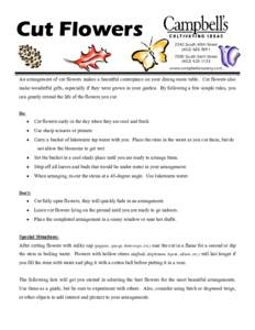 Medicinal plants / Plant morphology / Flower / Plant sexuality / Pollination / Cut flowers / Salvia / Peony / Delphinium / Flowers / Botany / Biology