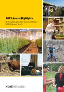 2013 Annual Highlights North Dakota Agricultural Experiment Station NDSU Extension Service Ken Grafton 	    Chris Boerboom