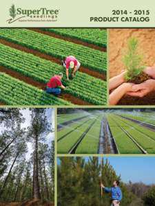 SuperTree Seedlings 2014 Product Catalog FINAL PREPRESS OUTSIDE REVISED FINAL