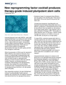 New reprogramming factor cocktail produces therapy-grade induced pluripotent stem cells