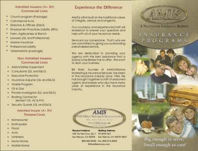 AMIS Surplus Lines Broker Brochure.indd