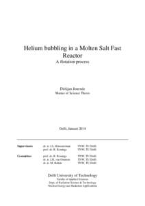 Helium bubbling in a Molten Salt Fast Reactor A flotation process Dirkjan Journée Master of Science Thesis