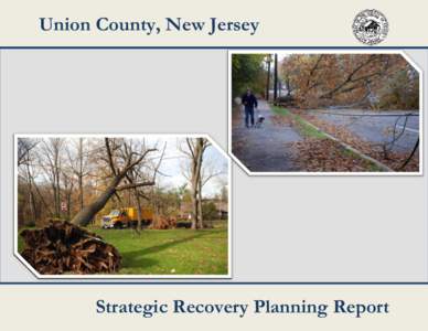 Union County, New Jersey  Strategic Recovery Planning Report Union County Strategic Recovery Planning Report Prepared for: