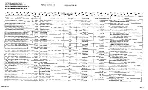NAPOLEONVILLE SALT DOME TOTAL NUMBER OF CAVERNS —53 TOTAL NUMBER OF STORAGE WELLS -23