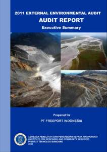 PT. Freeport Indonesia[removed]External Environmental Audit  EXECUTIVE SUMMARY Environmental management is an important aspect in mining activities. As described in the integrated environmental impact analysis that in 19