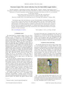 PHYSICAL REVIEW E 73, 021914 ͑2006͒  Structural origin of the colored reflections from the black-billed magpie feathers