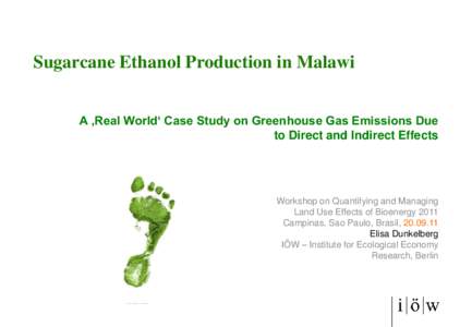 Sugarcane Ethanol Production in Malawi – A ‘Real World‘ Case Study on Greenhouse Gas Emissions due tu Direct and Indirect Effects